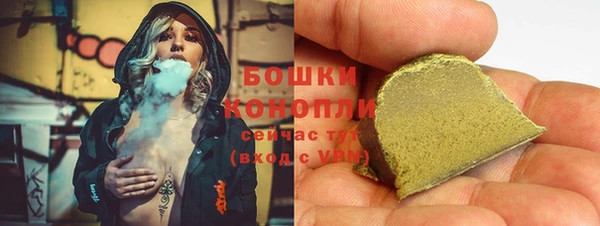 сатива Аркадак