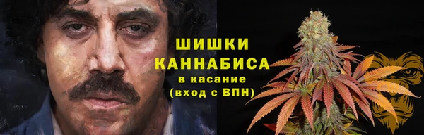 прущие грибы Армянск