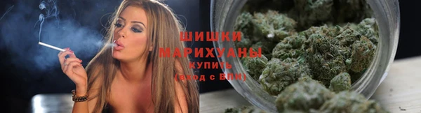 прущие грибы Армянск