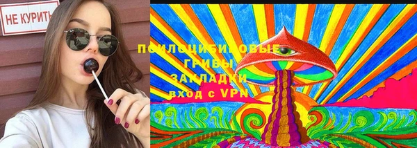 сатива Аркадак