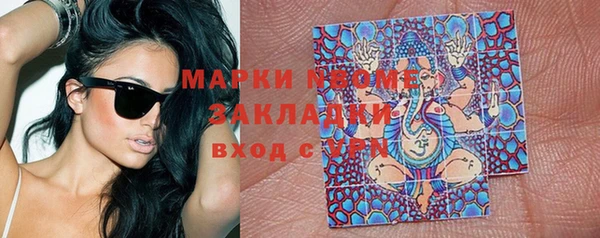 прущие грибы Армянск