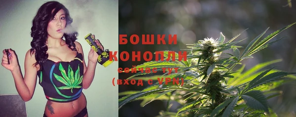 дурь Арсеньев