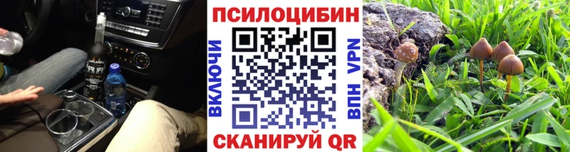 Галлюциногенные грибы Psilocybine cubensis Сунжа