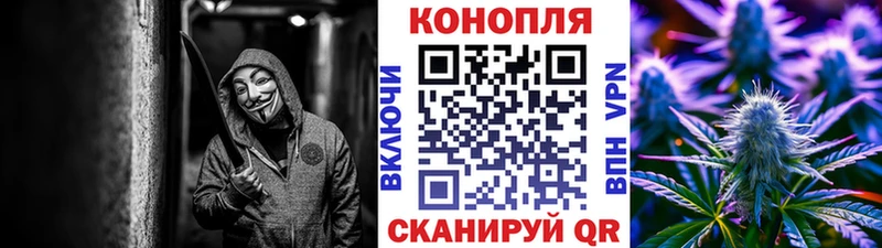 Бошки Шишки индика Сунжа